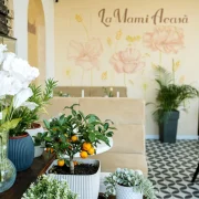 Decor floral si plante la terasa La Mami Acasa